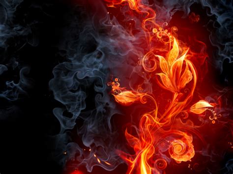 Fiery Flower Stock Photo - Download Image Now - iStock