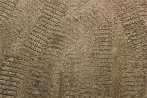 Tire Tracks on a Brown Dirt Road, Textured Imprints Stock Photo - Image ...