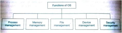 Operating System: What It Is, Functions, and Types