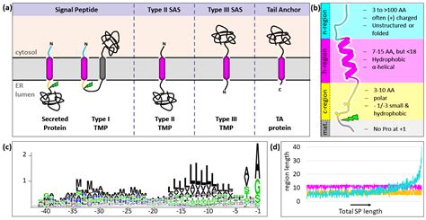 IJMS | Free Full-Text | Take Me Home, Protein Roads: Structural ...