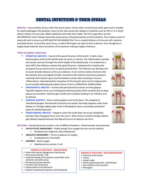 Dental Infections Faizan | PDF | Periodontology | Diseases And Disorders