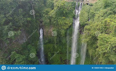 Beautiful Tropical Waterfall Bali,Indonesia. Stock Photo - Image of ...