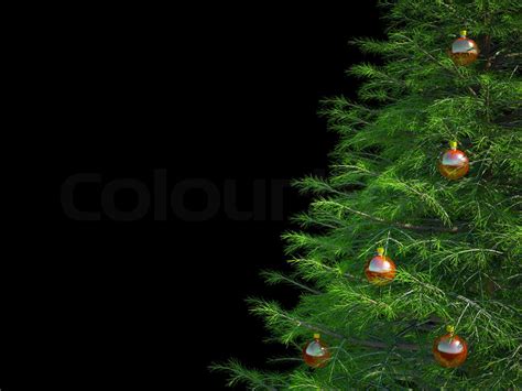 christmas tree on a black background | Stock image | Colourbox