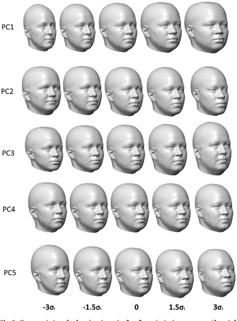 [PDF] Head-and-face shape variations of U.S. civilian workers ...