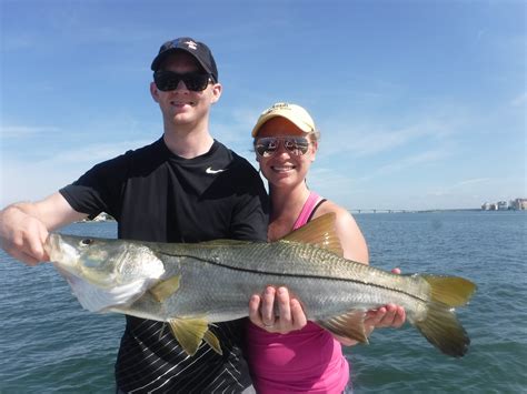 Snook Fishing for Siesta Key Anglers – Siesta Key Fishing Charters