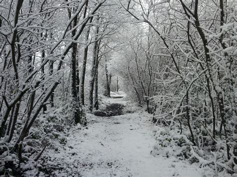 Yellow weather warning issued for snow - Herald.Wales