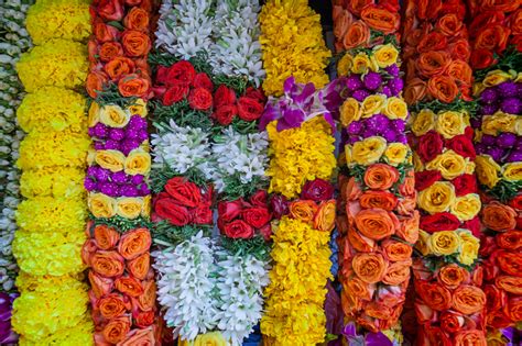 Indian Bridal Flower Garland in Singapore - Battered LuggageBattered ...