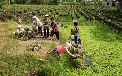 Experience the Wonders of a Fabulous Mekong Delta Cruise - Savored Journeys