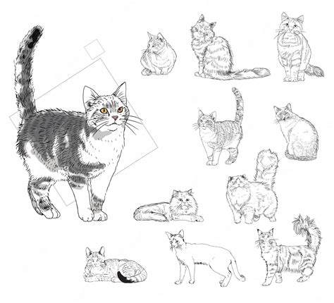 Premium Vector | Cat breeds art line sketches drawing style set