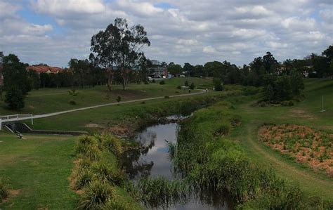 Kedron Brook | Well, this is where we walk the mutts in the … | Flickr