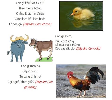 (Siêu hay) Viết một đoạn văn hoặc chép một đoạn thơ, câu đố, câu hát về một con vật chăm chỉ