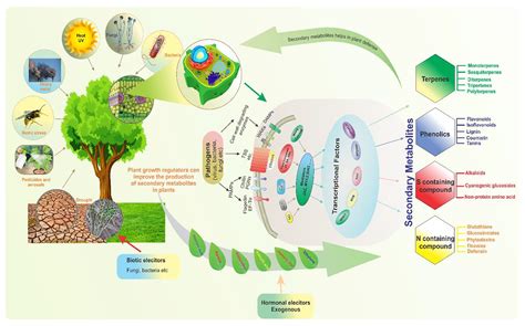 Secondary metabolites | Biovirid