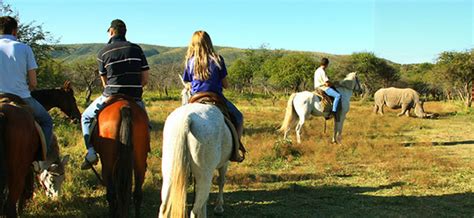 Mabalingwe Nature Reserve in Mabalingwe Nature Reserve - ProPortal