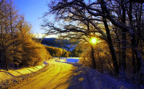 Winter morning, snow, trees, road, sunrise wallpaper | nature and ...