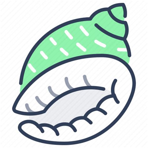 Scotch, bonnet, shell, sea, seashell, marine icon - Download on Iconfinder