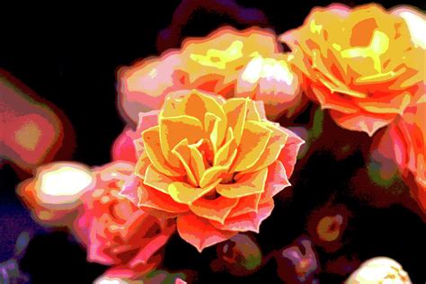 Painted Orange Flowers Photograph by Taphath Foose - Fine Art America