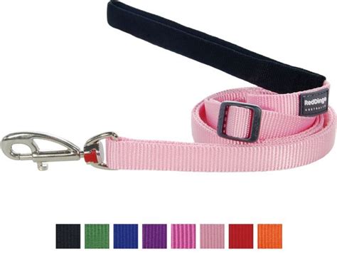 RED DINGO Classic Nylon Dog Leash, Pink, Large: 6-ft long, 1-in wide ...