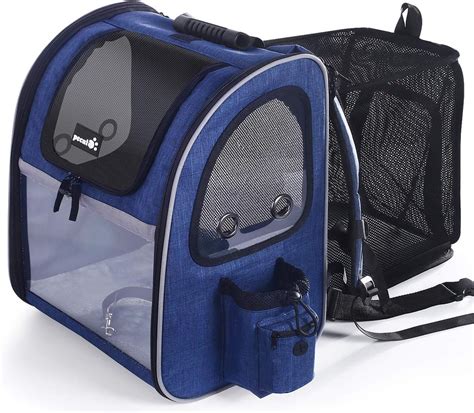 Backpack to Travel With Rabbit 2024 - Top 10 Options!