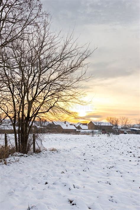 Winter Landscape with Snowy Countryside Village Next To Snow Cor Stock ...