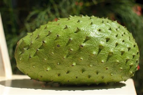 8 Health Benefits Eating Soursop you should Know | Health Benefits of Fruit