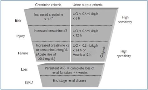 Acute Kidney Injury • LITFL • CCC Renal