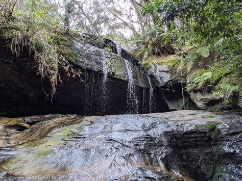 Horseshoe Falls Hazelbrook: A Stunning Blue Mountains Bushwalk With Glowworms