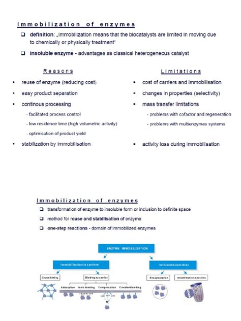 Enzyme Immobilization | PDF