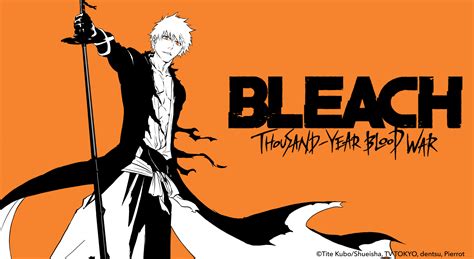 Share 90+ bleach anime 2022 release date best - in.cdgdbentre