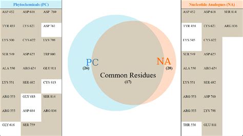 Inhibitor binding RdRP residues. Unique and common RdRP residues... | Download Scientific Diagram