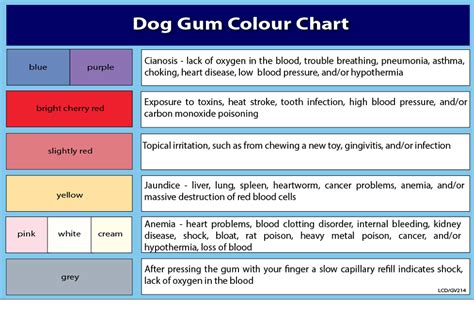 5+ Unhealthy Dog Gum Color Chart Article - CLUBCOLOR VGW