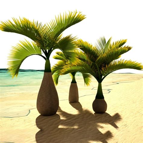 Bottle Palm Seeds (Hyophorbe lagenicaulis) - Price €4.95