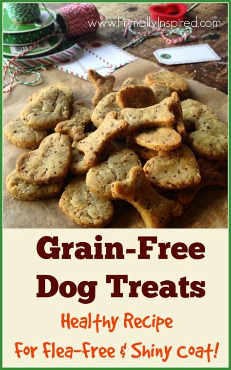 Healthy Grain Free Dog Treats | German Shorthaired Pointers-Greatdog-GSP