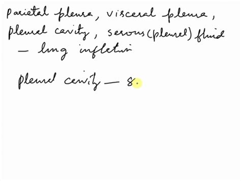 SOLVED:Describe the pleura. What is the function of pleural fluid?