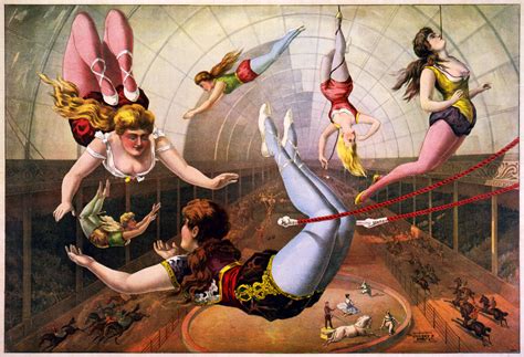 File:Trapeze Artists in Circus.jpg - Wikipedia