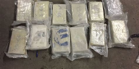 Police seize 12 kilos of suspected cocaine in Livonia