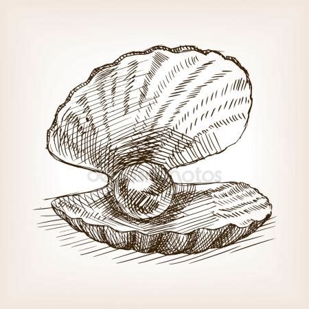 Oyster Shell Drawing at GetDrawings | Free download