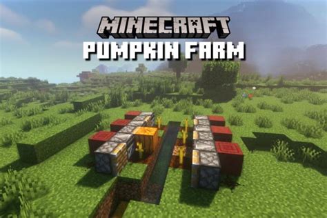 How to Make a Pumpkin Farm in Minecraft (Easiest Method) | Beebom