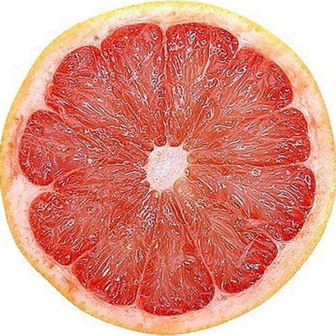 12 Day Grapefruit Diet Plan Menu - dotcomgala