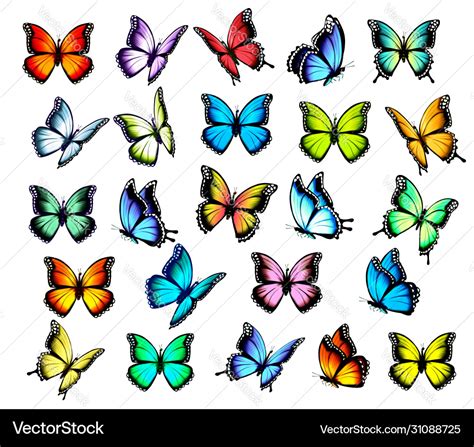 Big group colorful butterflies flying Royalty Free Vector