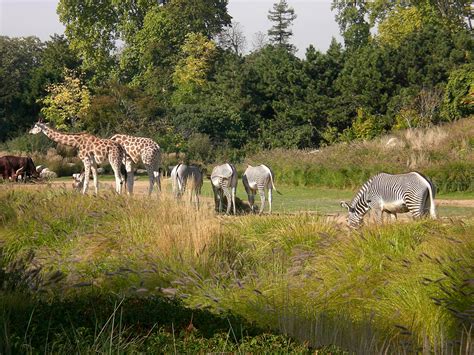 File:Parc tete or animaux zoo.jpg - Wikimedia Commons