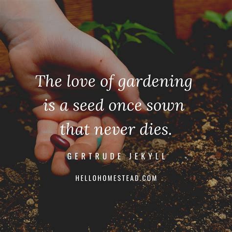 10 gardening quotes that we love | Hello Homestead