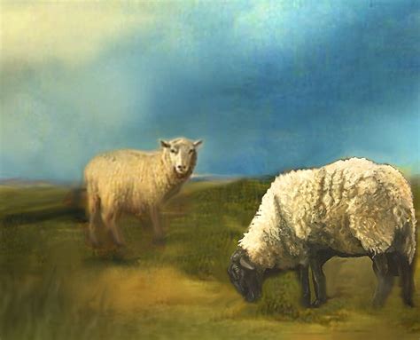 Sheep Painting. Modern Farm Painting. Blue Sky Hill Side and Two Sheep ...