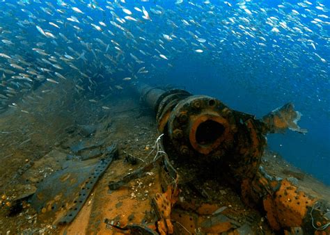 Navy’s standard flies again on wreck of sunken battle-cruiser Repulse | Royal Navy