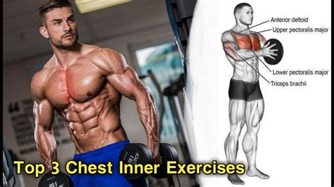 Chest Workout With Dumbbells | Chest Workout For Men | Chest Workout At ...