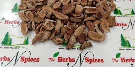 Sinhal Mahua Seeds / Dolmi / Longifolia, Rs 25 /kg The Herbs N Spices ...