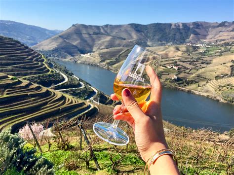 Wine Tour - A Day in the Douro Wine Region