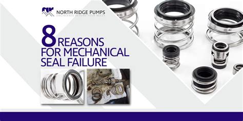 8 Reasons for Mechanical Seal Failure • Fluid Handling Pro