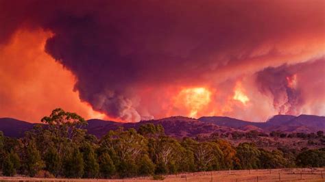 Australia fires: Canberra escapes worst as fires rage on - Equity Insider