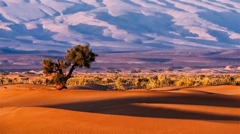 Sahel And Sahara Region