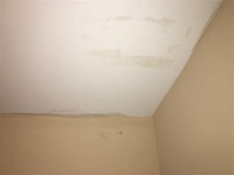 Guide to Mold on Walls ......Removal Protocol, Products to Use, Personal Safety